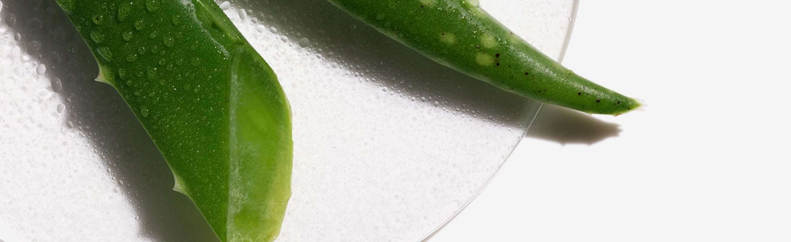 Acqua di Aloe Attivata