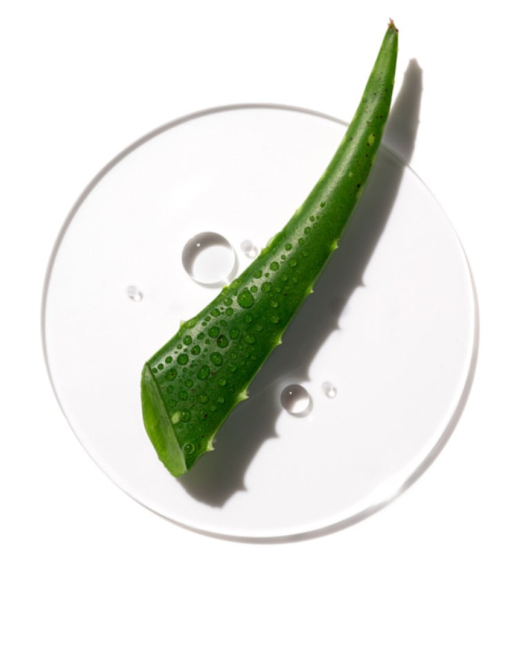 Acqua di Aloe Attivata